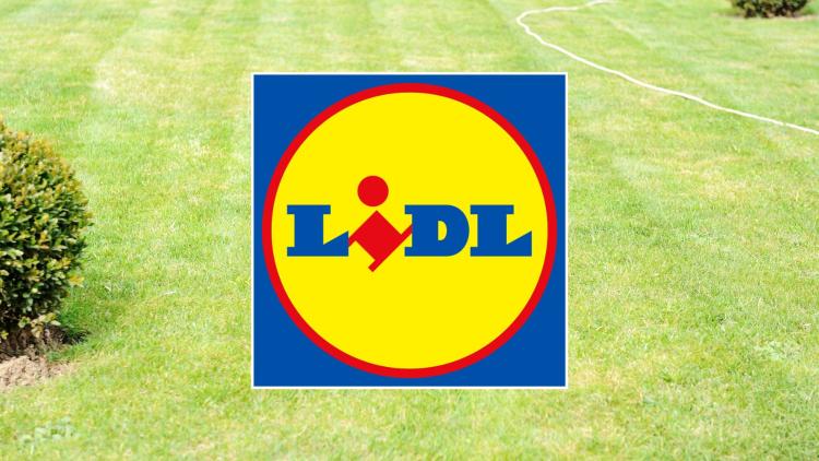découvrez les offres jardin printemps imbattables chez lidl : outils, plantes et accessoires pour un jardin magnifique à petits prix.