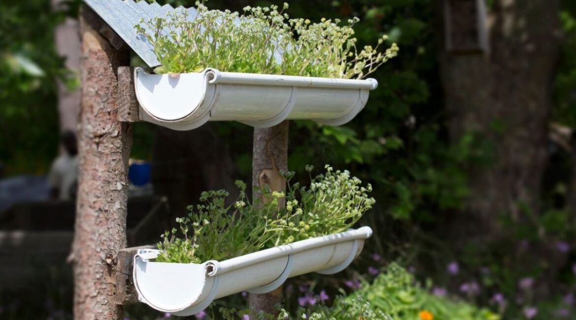 découvrez les plantes idéales pour débuter un jardin facilement. nos conseils pour choisir des variétés faciles à cultiver et parfaites pour les débutants.