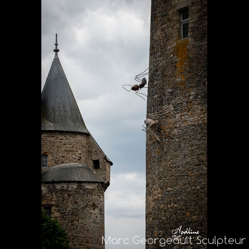 découvrez comment une poudre blanche au jardin peut éliminer efficacement les fourmis tout en valorisant votre marc de café. astuce naturelle et écologique pour un jardin sain.