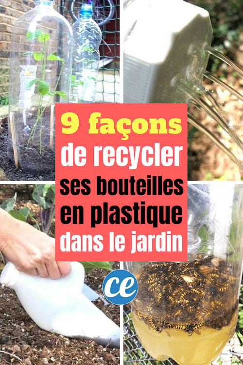 découvrez nos astuces pratiques pour réutiliser vos bouteilles en plastique au jardin et ainsi adopter un mode de jardinage écologique et économique.