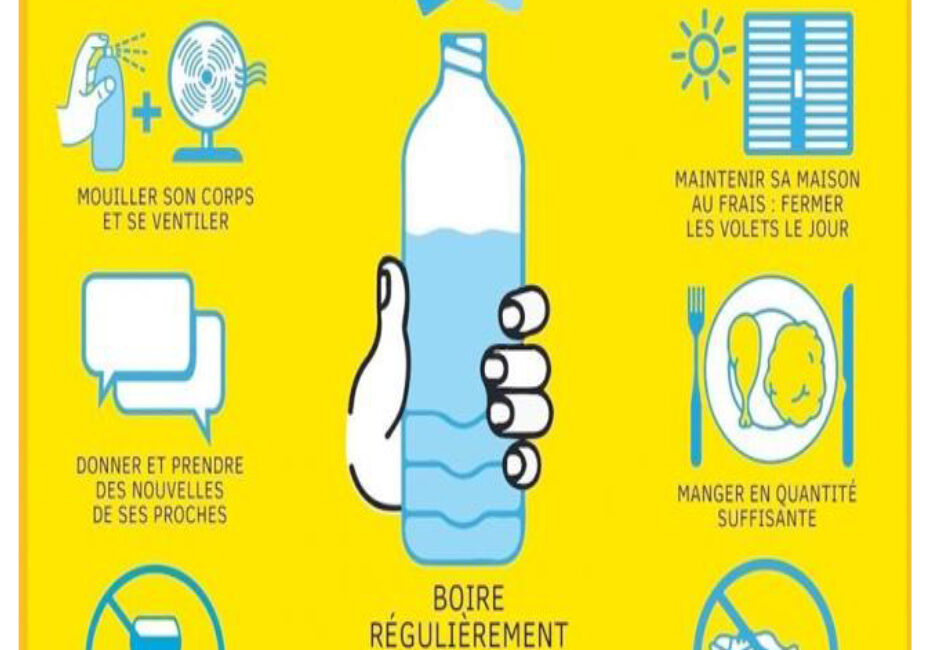 découvrez nos conseils pour tondre la pelouse en toute sécurité lors des périodes de canicule, afin de protéger votre santé et votre jardin.