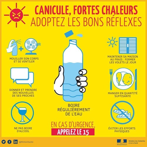 découvrez nos astuces efficaces pour protéger et sauver vos plantes pendant la canicule avec des températures atteignant 42 °c.