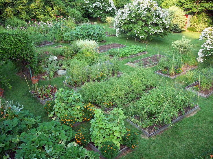 découvrez comment créer un potager durable à tourc’h en adoptant des pratiques respectueuses de l’environnement pour cultiver vos légumes de manière écologique et pérenne.