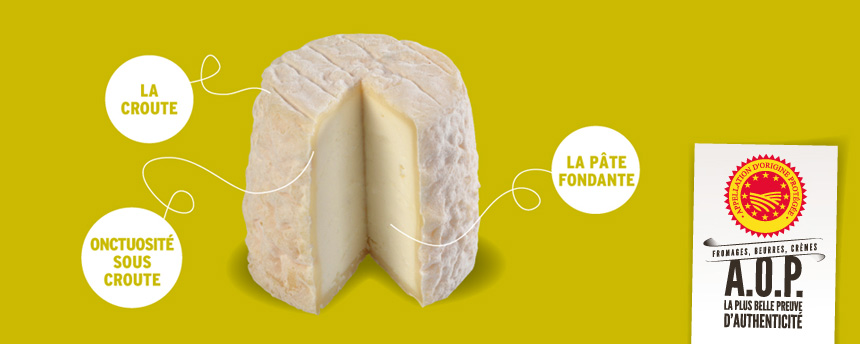 découvrez les raisons et conséquences d'une amende de 1500€ pour l'arrosage de votre potager avant l'été, ainsi que les réglementations à respecter pour éviter les sanctions.